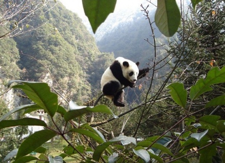 Beijing, Yanshan International Ecological World 